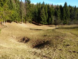 09 Zreče - osameli kras (Foto 09, Ljudmila Strahovnik, ZRSVN OE Celje)